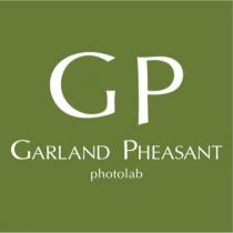 GARLAND PHEASANT GP
