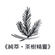 純萃.茶樹精靈及圖