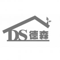 DS 德森及圖