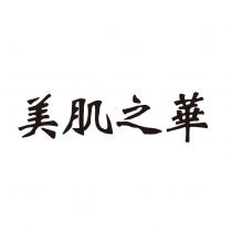 美肌之華