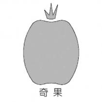 奇果及圖