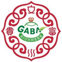 富貴文川 GABA RICHNESS 及圖