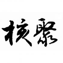 核聚