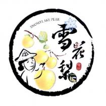 雪花梨雪花 SNOWFLAKE PEAR 及圖