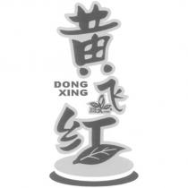 黃飛紅設計字 DONG XING 及圖