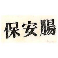 保安腸