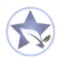 上豐環球企業有限公司標章