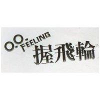 握飛輪及圖 FEELING 