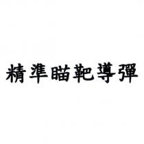 精準瞄靶導彈