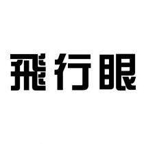 飛行眼