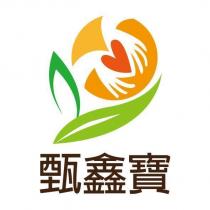 甄鑫寶及圖