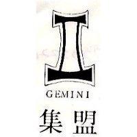 集盟 GEMINI 及圖