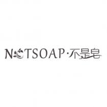 N TSOAP 不是皂設計圖