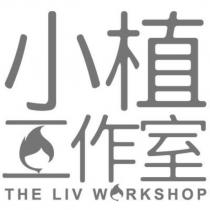 小植工作室 THE LIV WORKSHOP 設計字