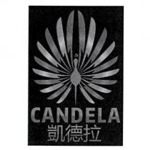 凱德拉 CANDELA 及設計圖