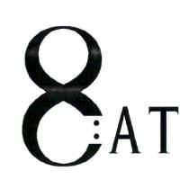 8AT 及圖