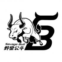 野蠻公牛 Savage Bull SB 設計及圖