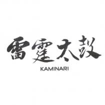 雷霆太鼓 KAMINARI