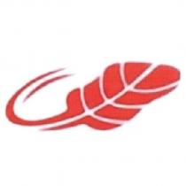 芭蕉扇設計圖