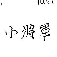 小將軍