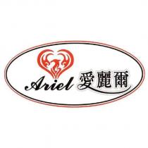 Ariel 愛麗爾及圖