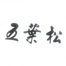 五葉松