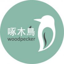 啄木鳥
