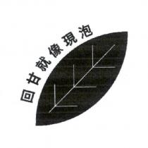 回甘就像現泡及圖