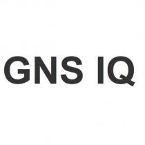 GNS IQ