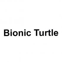 Bionic Turtle