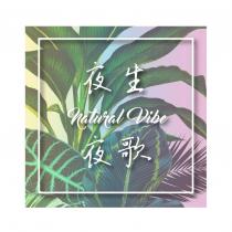 夜夜生歌 natural vibe 及圖