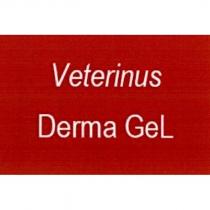 Veterinus Derma Gel