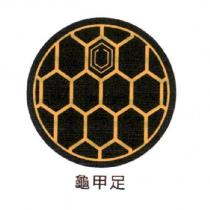 龜甲足及圖