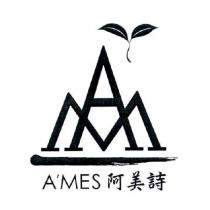 AM AMES 阿美詩及圖