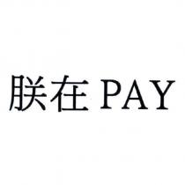 朕在 PAY