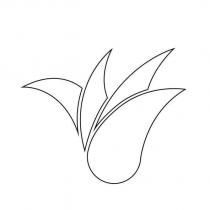 花圖