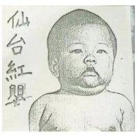 仙台紅嬰及圖