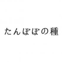 たんぽぽの種