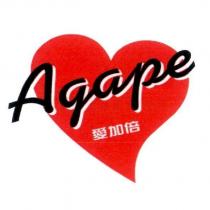 愛加倍 Agape 及圖