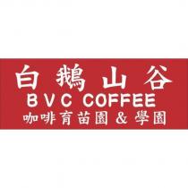 白鵝山谷 BVC COFFEE 咖啡育苗園&學園