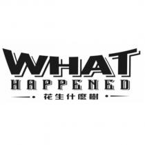 花生什麼樹 WHAT HAPPENED 及圖