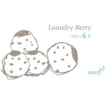 Laundry Berry 洗衣小籃莓 EARTH FRIEND 及圖
