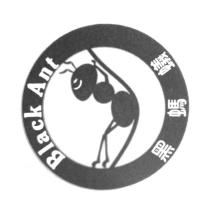黑螞蟻 Black Ant 及圖