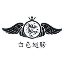 白色翅膀 White Wings 及圖