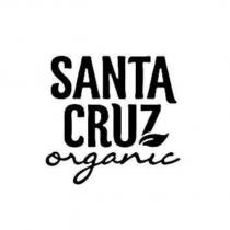 SANTA CRUZ organic 設計字