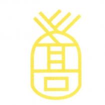 鳳梨設計圖