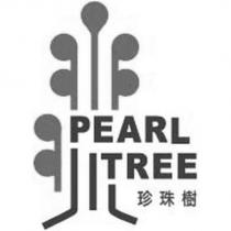 珍珠樹 PEARL TREE 及圖