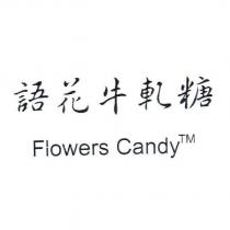 語花牛軋糖 Flowers Candy TM