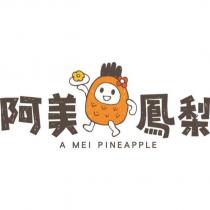 阿美鳳梨 A MEI PINEAPPLE 及圖