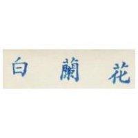 白蘭花